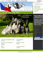 Mobile Screenshot of pointer-setter.cz