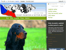 Tablet Screenshot of pointer-setter.cz